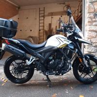 Motron X-Nord 125 - 2022