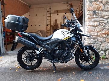 Motron X-Nord 125 - 2022