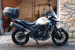 Motron X-Nord 125 - 2022