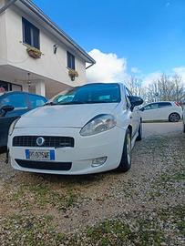 smembro grande punto 