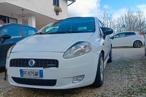 smembro grande punto 