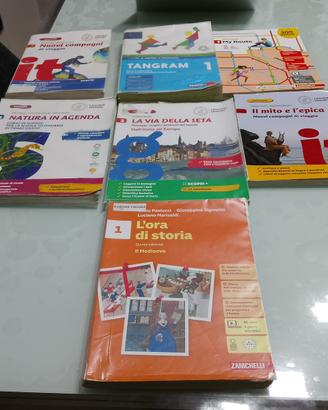 libri savio alfieri - prima media