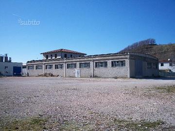 TERRENO EDIFICABILE 6000mq con CAPANNONE 800mq