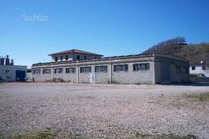 TERRENO EDIFICABILE 6000mq con CAPANNONE 800mq