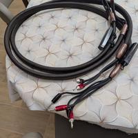 Cavo Potenza Audioquest Oak