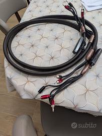 Cavo Potenza Audioquest Oak