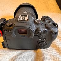 Canon R6 + RF 24-105 f4