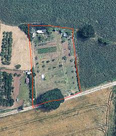 Terreno Agricolo di 2.500 mq con Pozzo e Frutteto