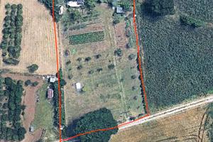 Terreno Agricolo di 2.500 mq con Pozzo e Frutteto
