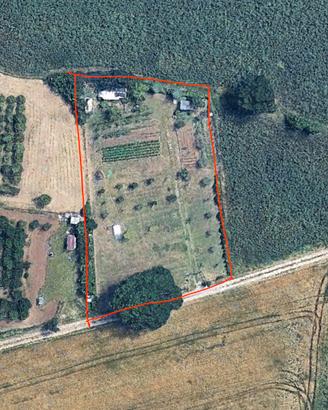 Terreno Agricolo di 2.500 mq con Pozzo e Frutteto