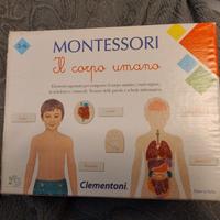 corpo umano Montessori 