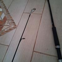 Canna spinning molix outset 10-60