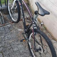 Bicicletta MTB 