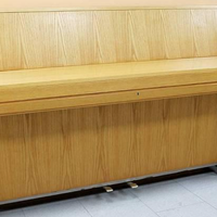 Euterpe pianoforte acustico verticale cm 103