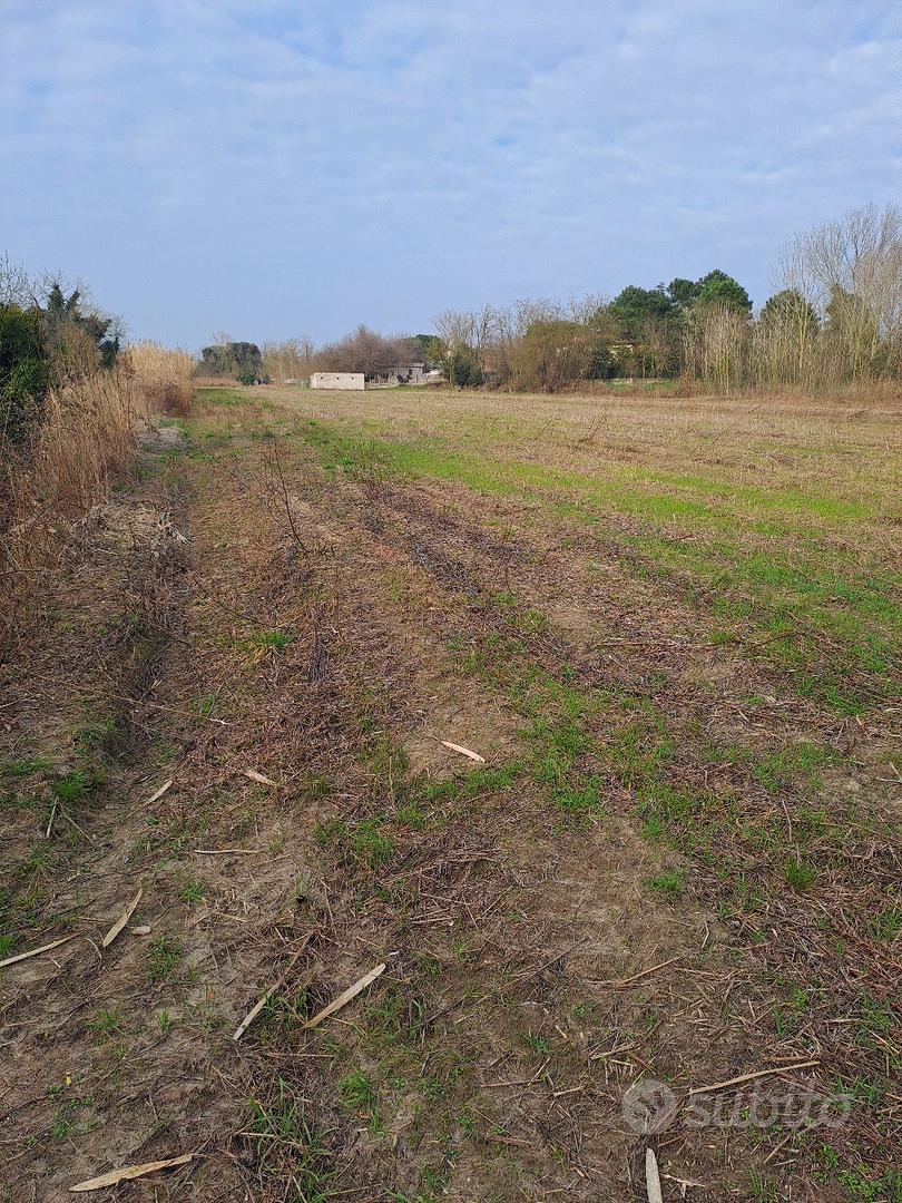terreno agricolo a Portoviro - Vista 3