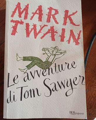 Le avventure di Tom Sawyer