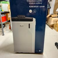 Condizionatore portatile Pinguino Delonghi 