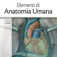 Elementi di Anatomia Umana Edises