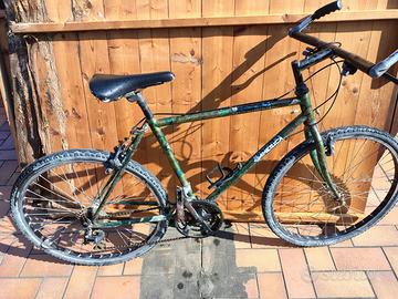 Bicicletta da uomo verde