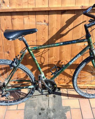 Bicicletta da uomo verde