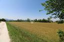 ter-agricolo-a-pernumia