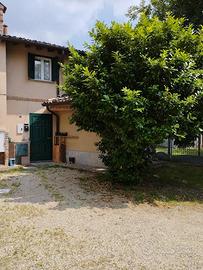 Villino a bereguardo, vigna del pero