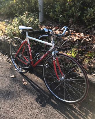 Bicicletta da passeggio in città.