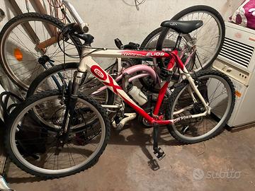 Bicicletta mountain bike