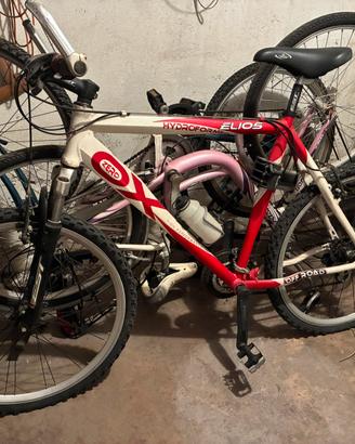 Bicicletta mountain bike