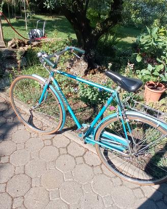 Bicicletta Torpado uomo