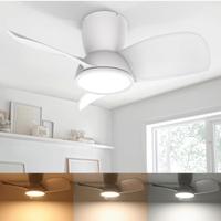 Ventilatore da Soffitto con Luce