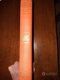 La cometa di Halley  Paolo Maffei