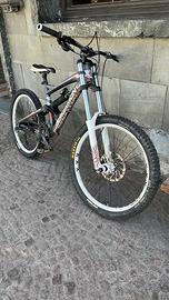 Bici da downhill