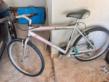 Bici usata
