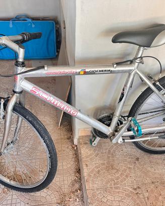 Bici usata
