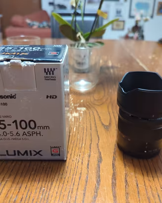 Panasonic 35-100 F4.0-5.6 micro 4/3