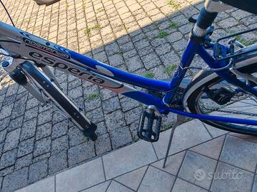 Bicicletta donna blu