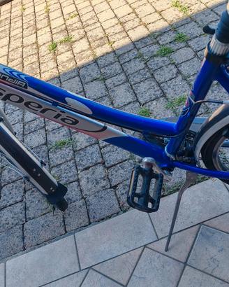 Bicicletta donna blu