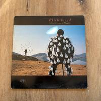 Pink Floyd – Delicate Sound of Thunder –