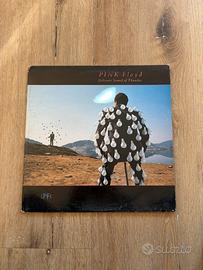 Pink Floyd – Delicate Sound of Thunder –