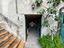 Immagine 8