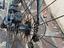 Immagine 5