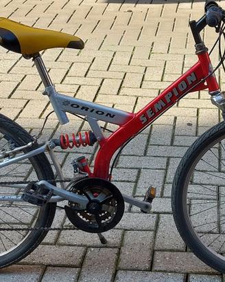 Bici da fuoristrada e città ruote 24'' 18 marce