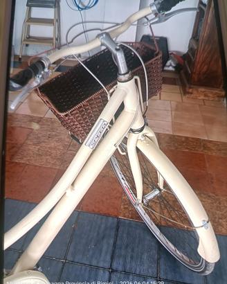bicicletta da donna