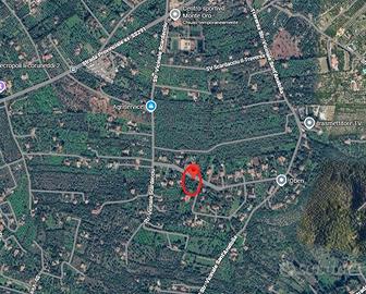 Terreno con uliveto mq.3500 - Monte Oro -