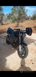 Honda hornet