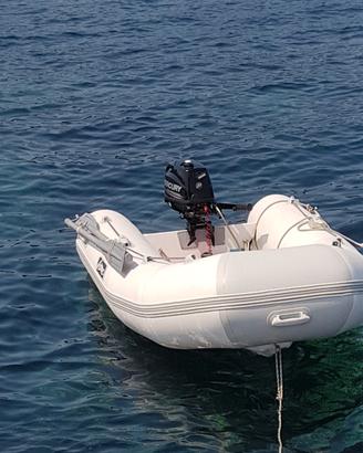 Tender Arimar 270