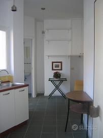 Monolocale a Ponte Milvio