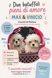 Due piccoli cuori