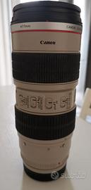 Canon EF 70-200mm f/2.8L USM